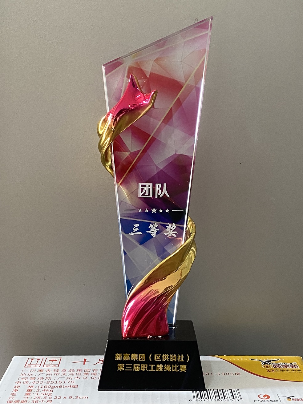 2023年嘉耘跳繩比賽團體(tǐ)三等獎獎杯